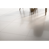 CITIZEN - 24X24, ELECTOR, LAPPATO